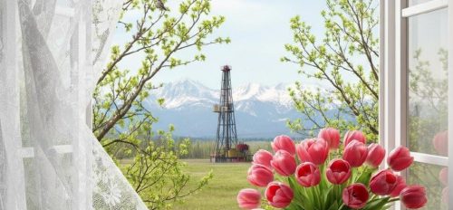 Поздравляем!